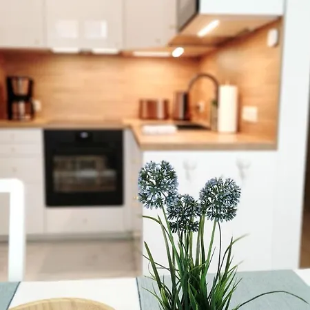 As1 - Excellent Apartment