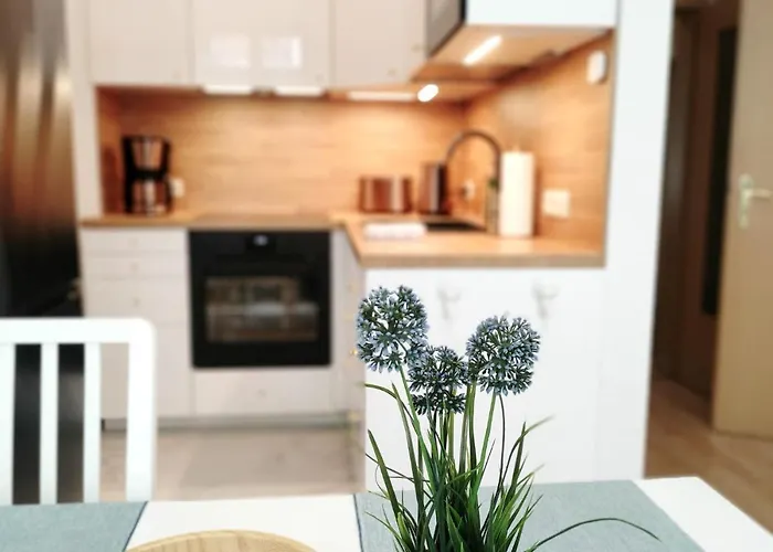 As1 - Excellent Apartment